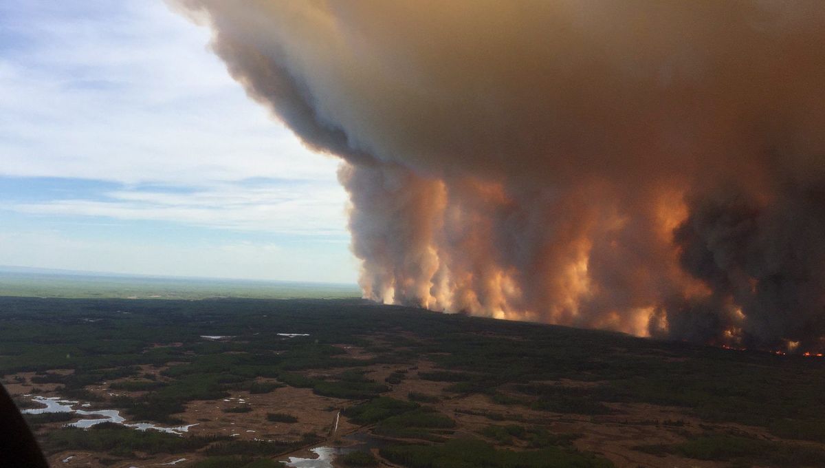 Canada : Environ 10 millions d’hectares partis en fumée