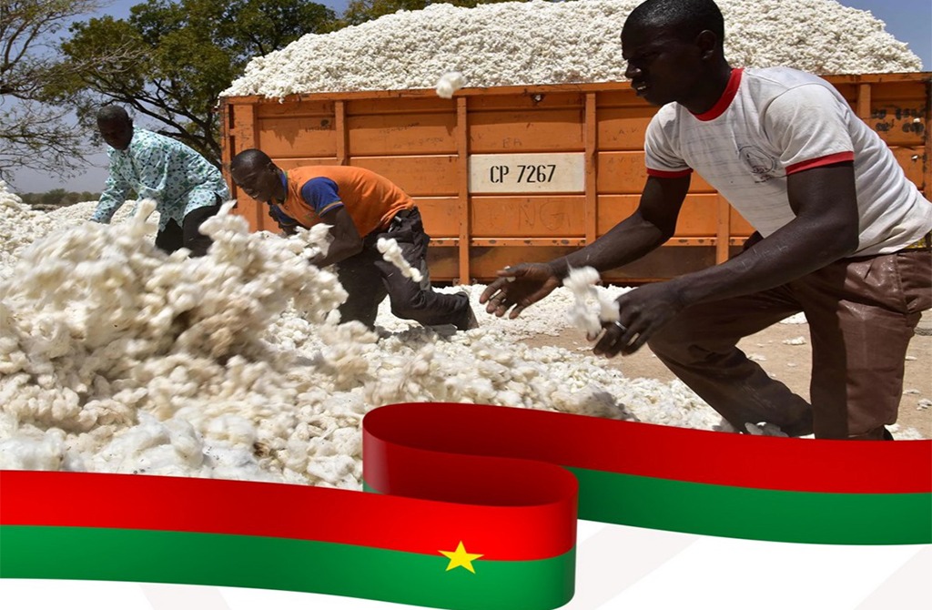Burkina Faso : L’appui stratégique de l’ITFC à la filière coton burkinabè sous le leadership du capitaine Ibrahim Traoré